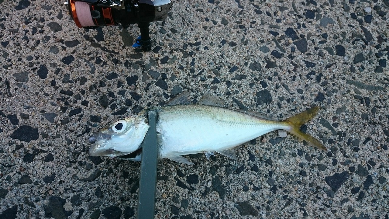 釣り 2 金沢の酔神